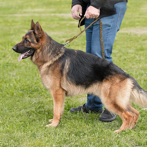 Correa Táctica Resistente Ajustable Doble Asa Para Perros