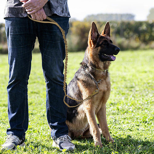 Correa Táctica Resistente Ajustable Doble Asa Para Perros